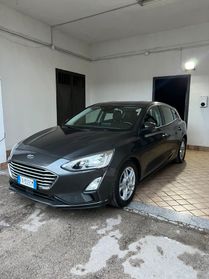 Ford Focus 1.5 EcoBlue 120 CV automatico 5p. Business Co-Pilot