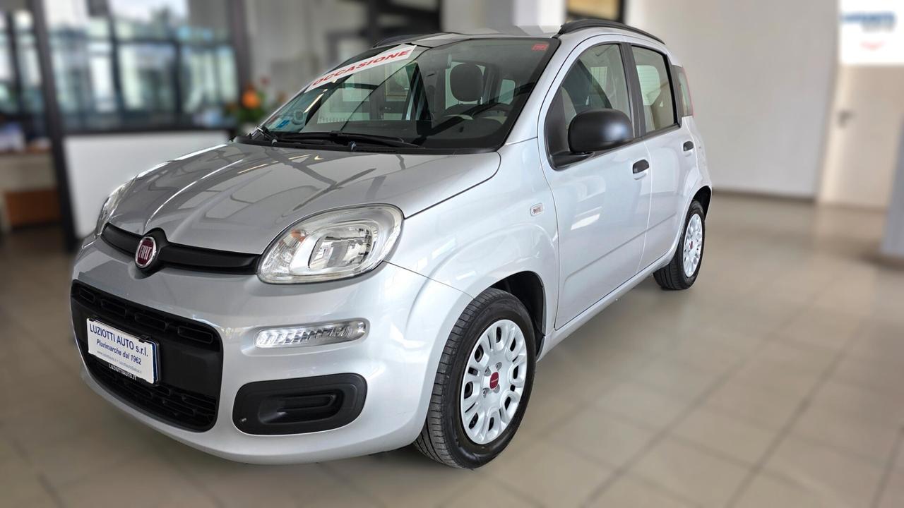 Fiat Panda 1.2 Easy 5° Posto