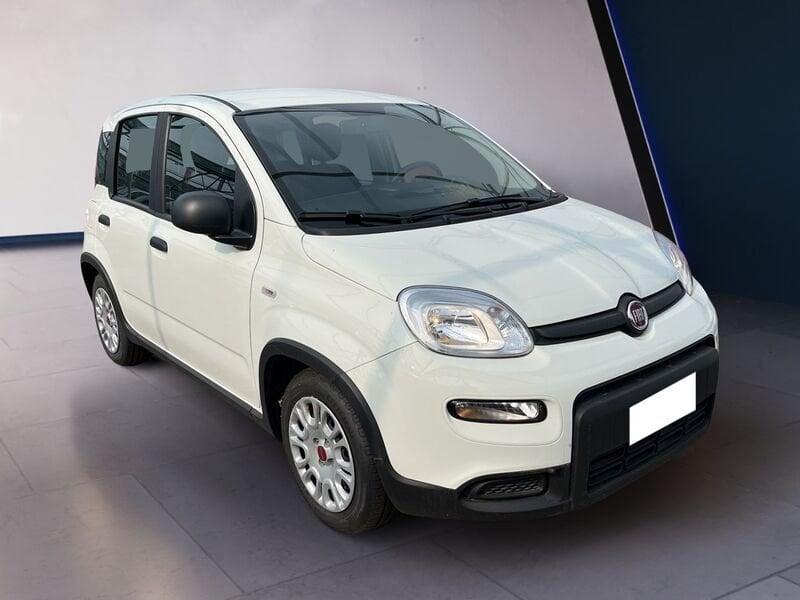 FIAT Panda My23 1.0 70cv Hybrid Panda