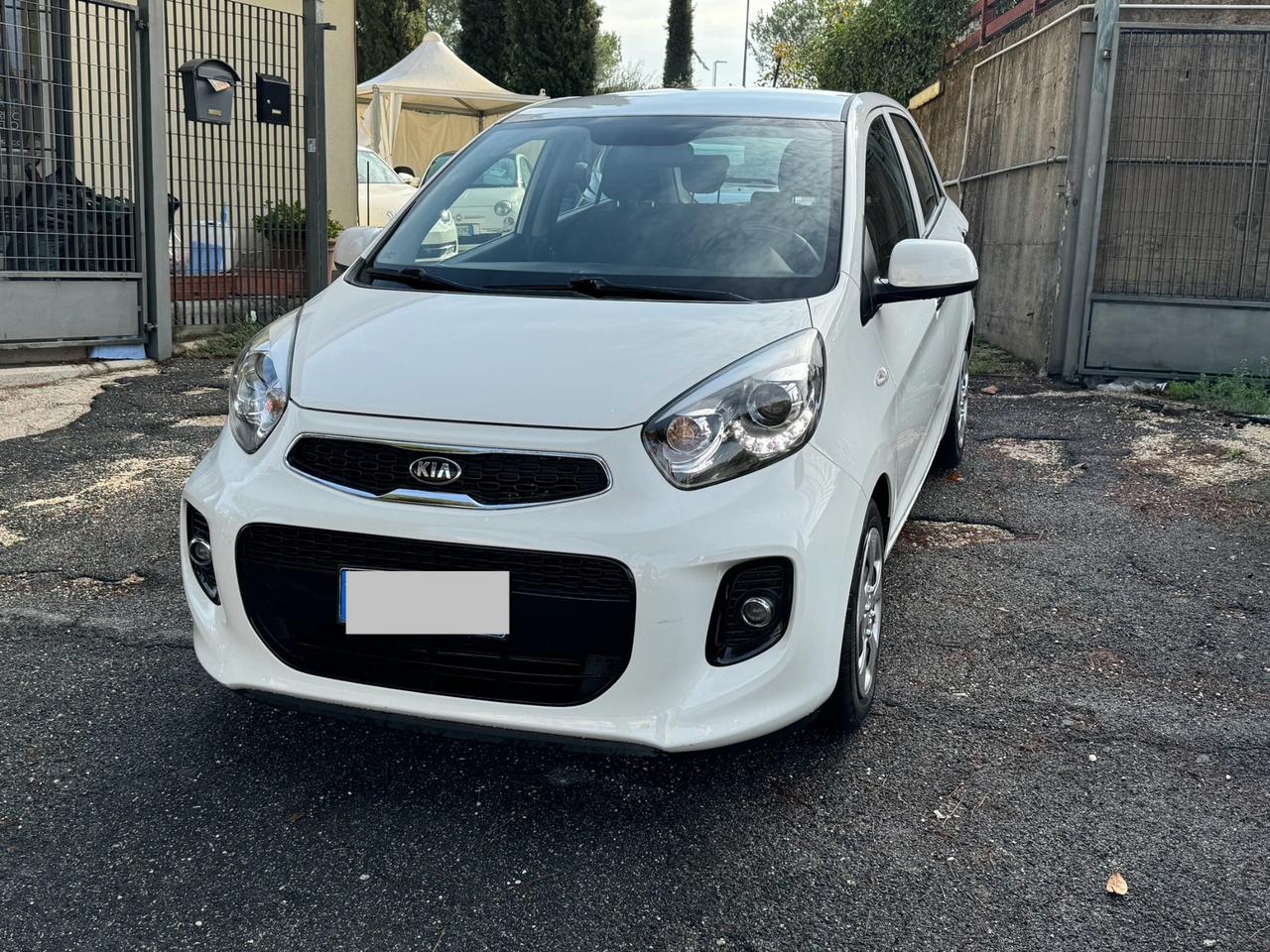 Kia Picanto 1.0 12V NEOPATENTATI CERTIFICATA