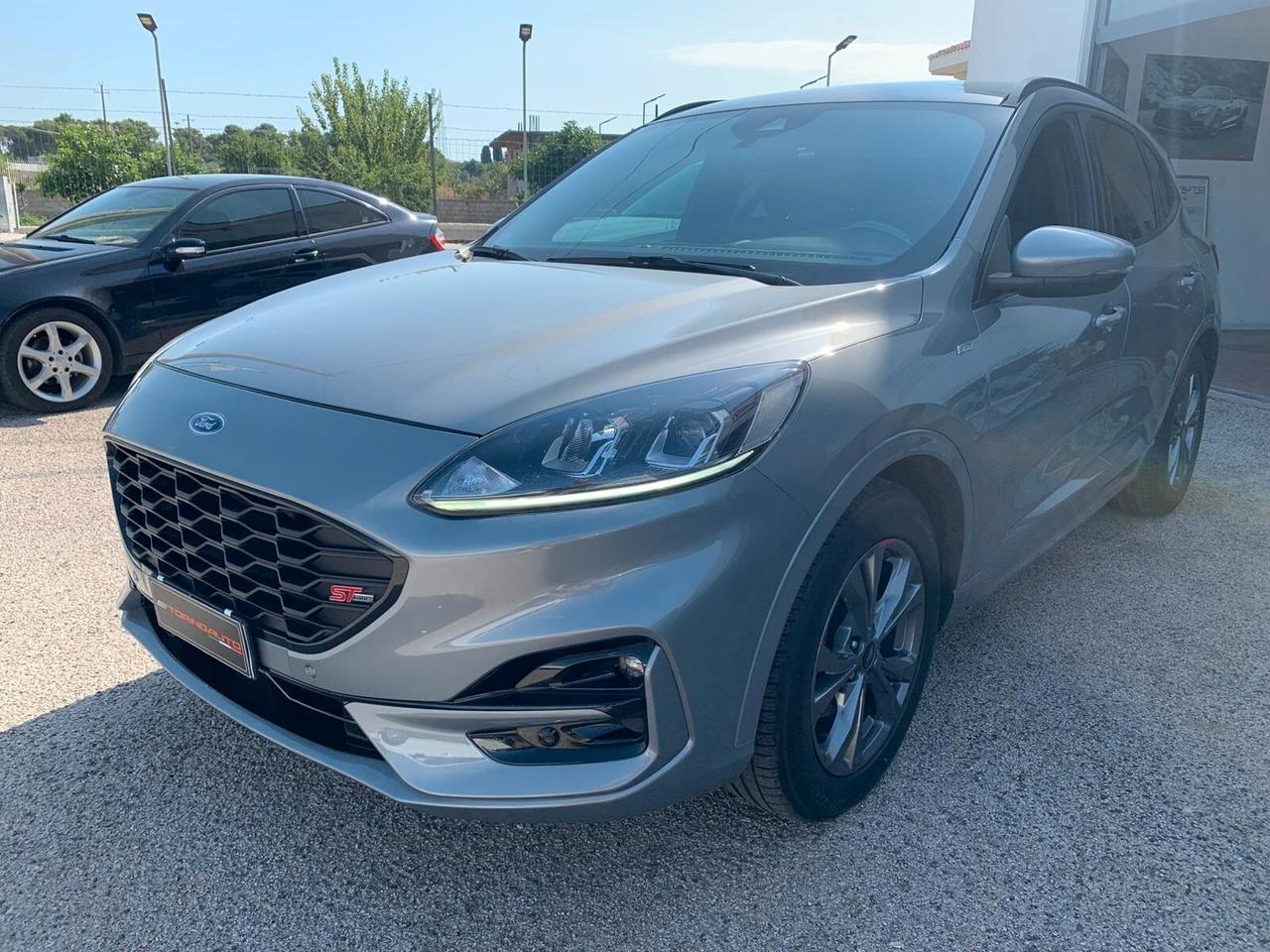Ford Kuga 1.5 EcoBlue 120 CV 2WD Sport ST-Line