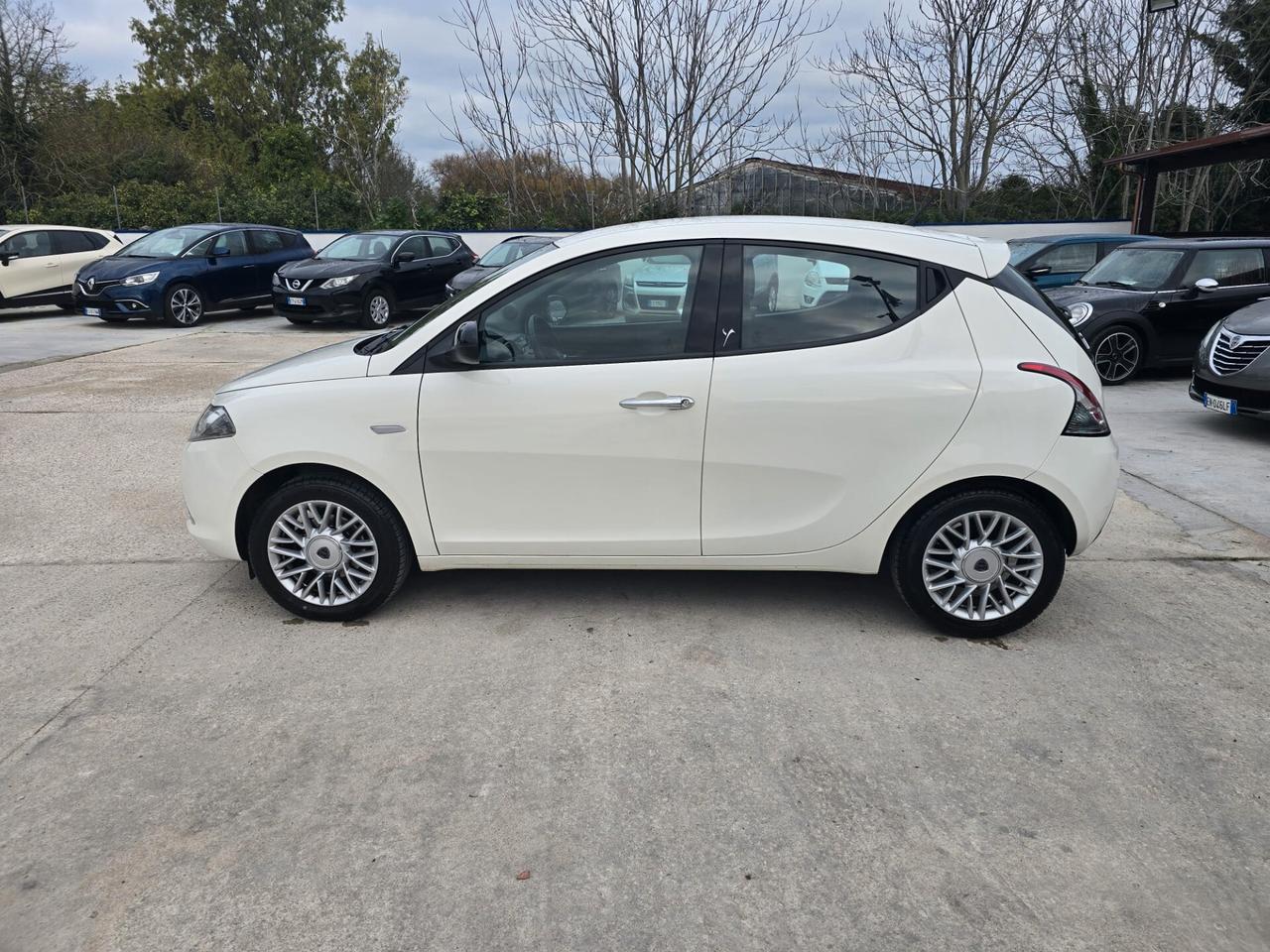 Lancia Ypsilon 1.2 69 CV 5 porte Platinum