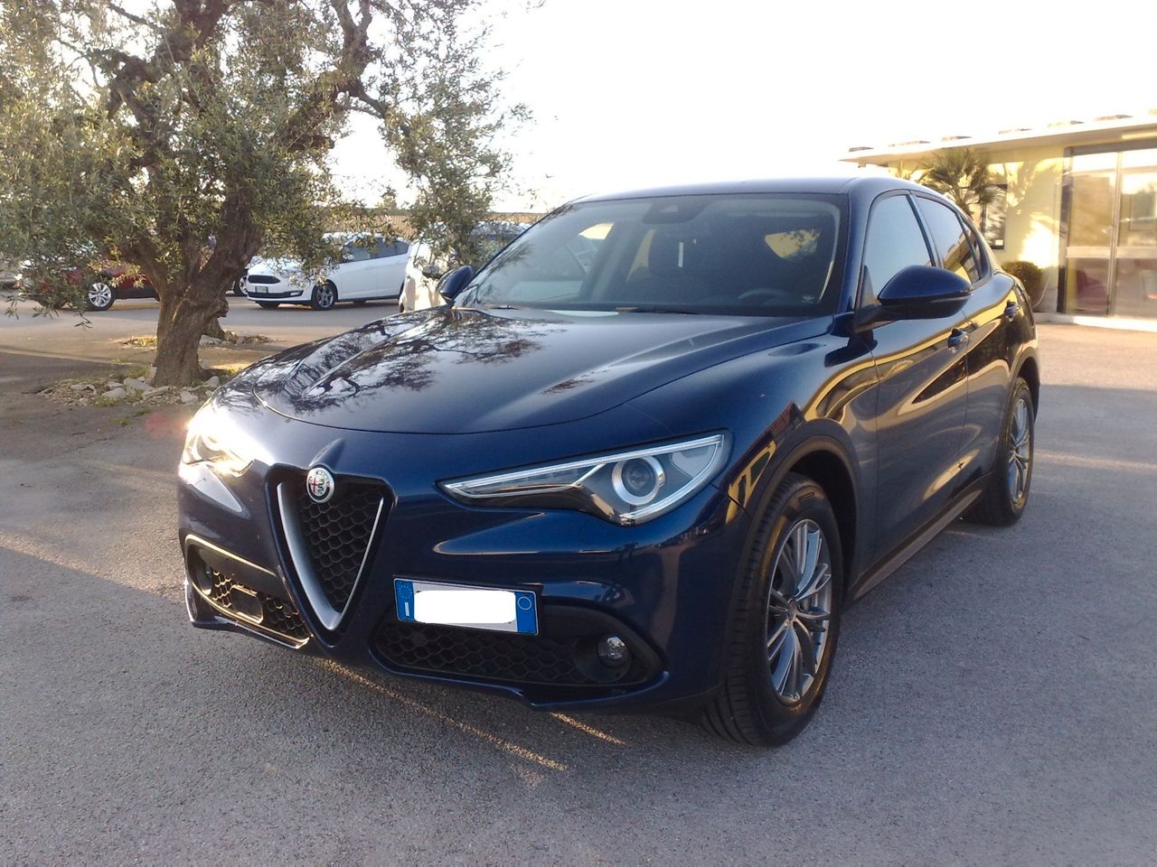 Alfa Romeo Stelvio 2.2 Turbodiesel 190 CV AT8 RWD Business