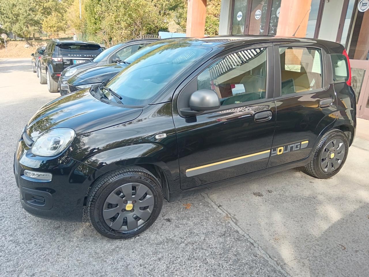 Fiat Panda 1.2 69CV YOUNG NUOVISSIMA