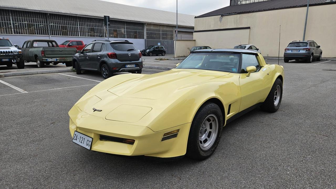 Corvette C3 T-Top