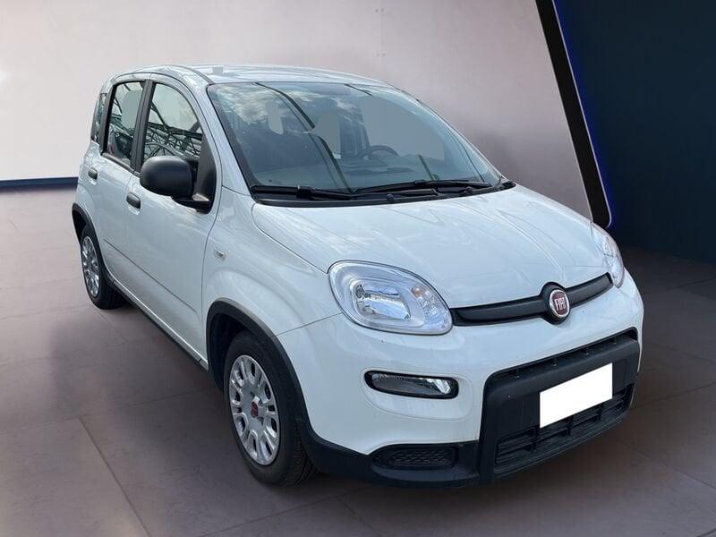 FIAT Panda My23 1.0 70cv Hybrid Panda