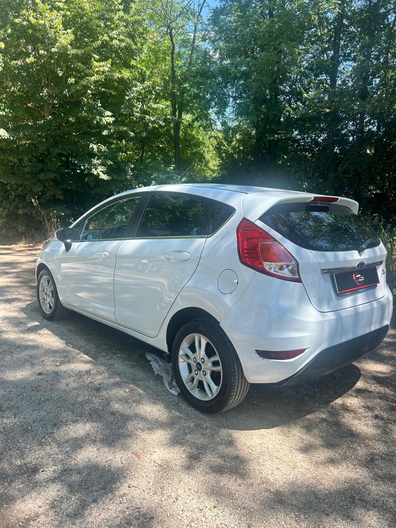 Ford Fiesta 1.4 5 porte Bz.- GPL Black & White Edition