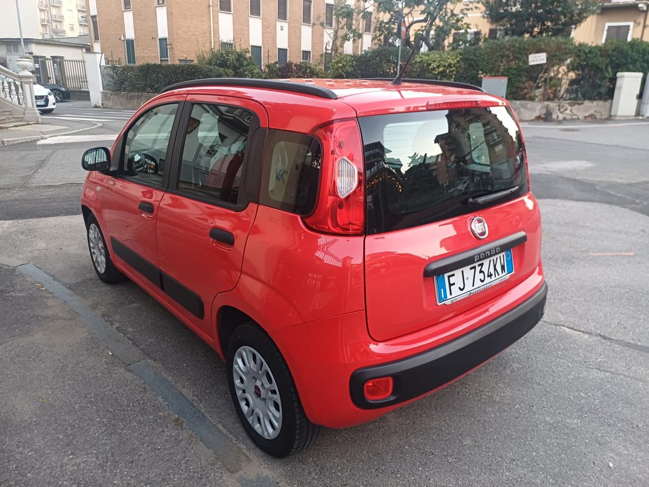 Fiat Panda 1.2 NEOPATENTATI TAGLIANDATA