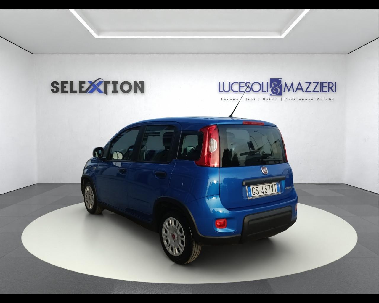 FIAT PANDA - Panda 1.0 FireFly S&S Hybrid