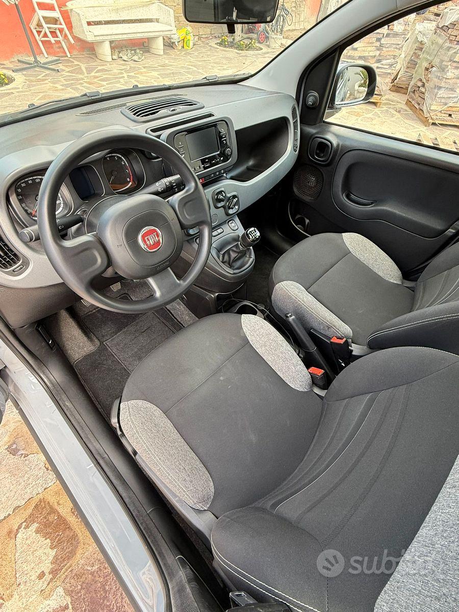 fiat panda