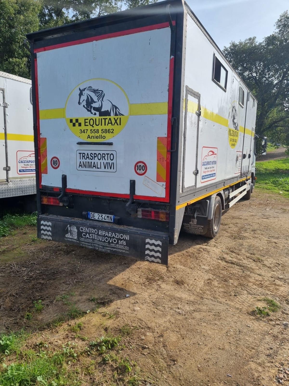 Mercedes Benz 12-23 TRASPORTO CAVALLI 8 POSTI