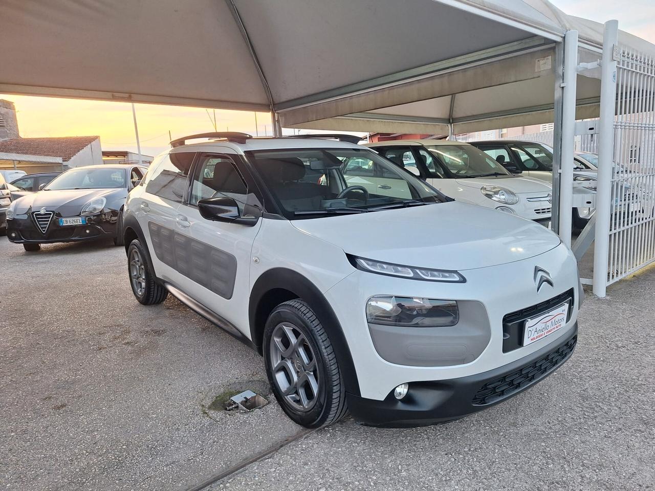 Citroen C4 Cactus BlueHDi 100 S&S Shine