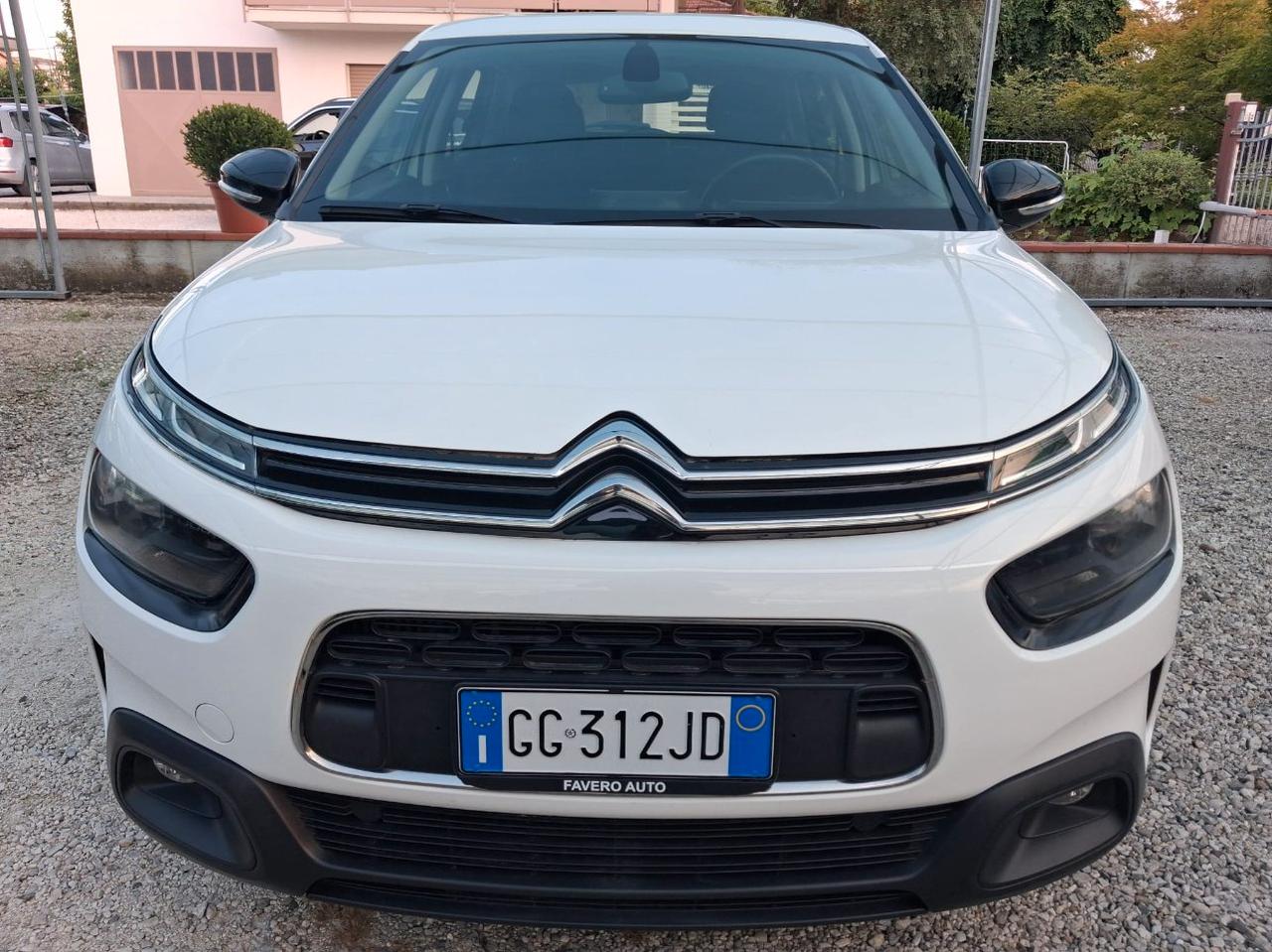 Citroen C4 Cactus 1.5 bluehdi Live s&s 100cv
