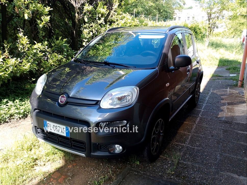 Fiat Panda 1.3 MJT 95 CV S&S 4x4