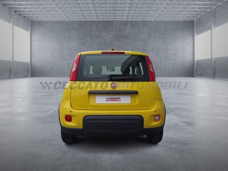 FIAT Panda 1.0 70cv Hybrid Panda