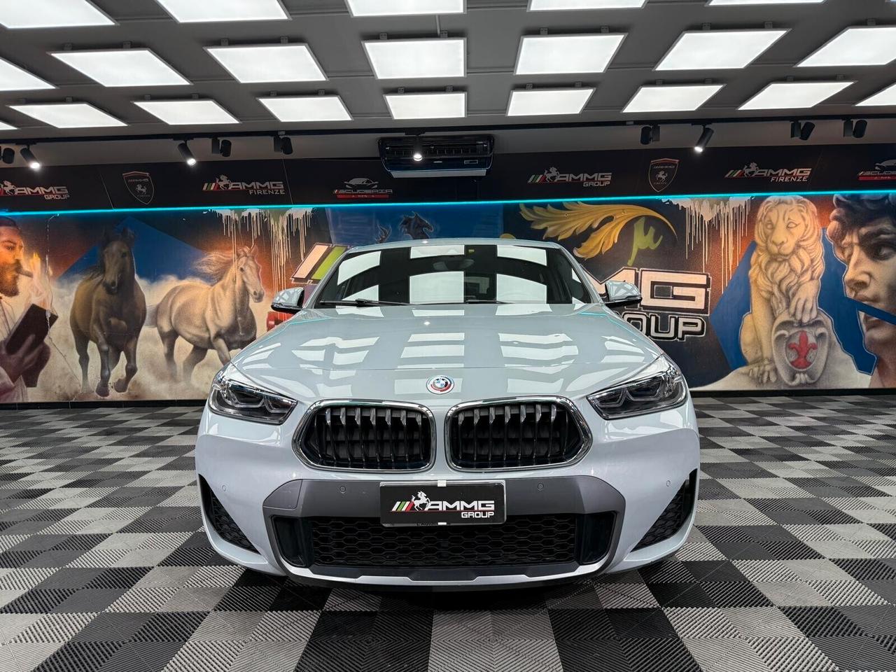 Bmw X2 xDrive25e Business-X (339)