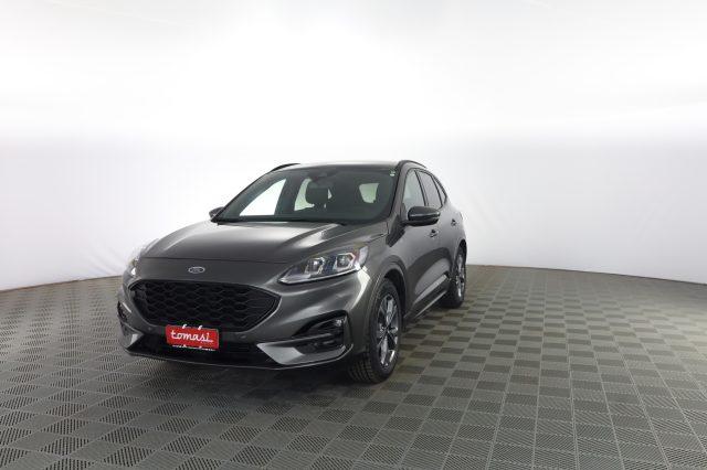 FORD Kuga Kuga 1.5 EcoBlue 120 CV aut. 2WD ST-Line