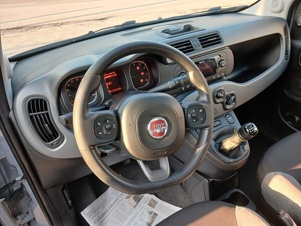 FIAT PANDA HYBRID 1.0 FireFly 70 CV S&S CITY LIFE