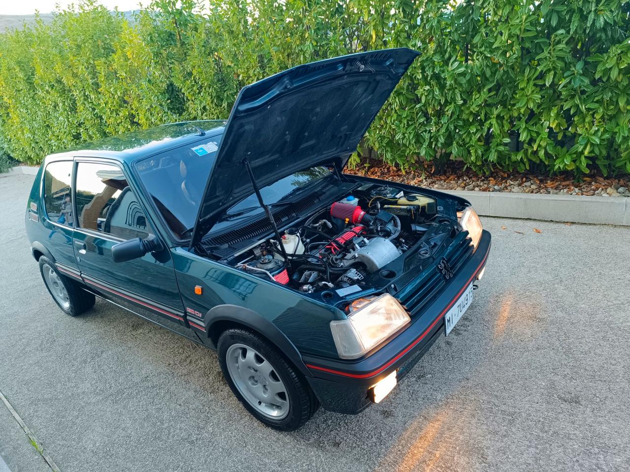 Peugeot 205 1.9 GTI Plus verde Sorrento