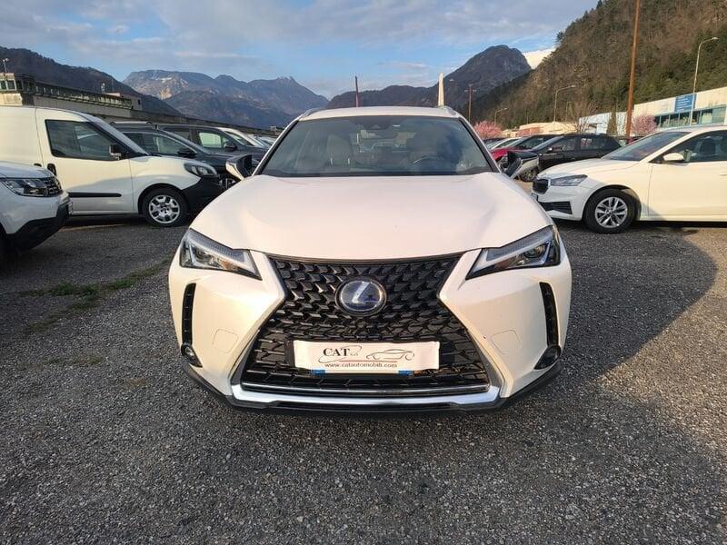 Lexus UX 250 H Hybrid 2 wd