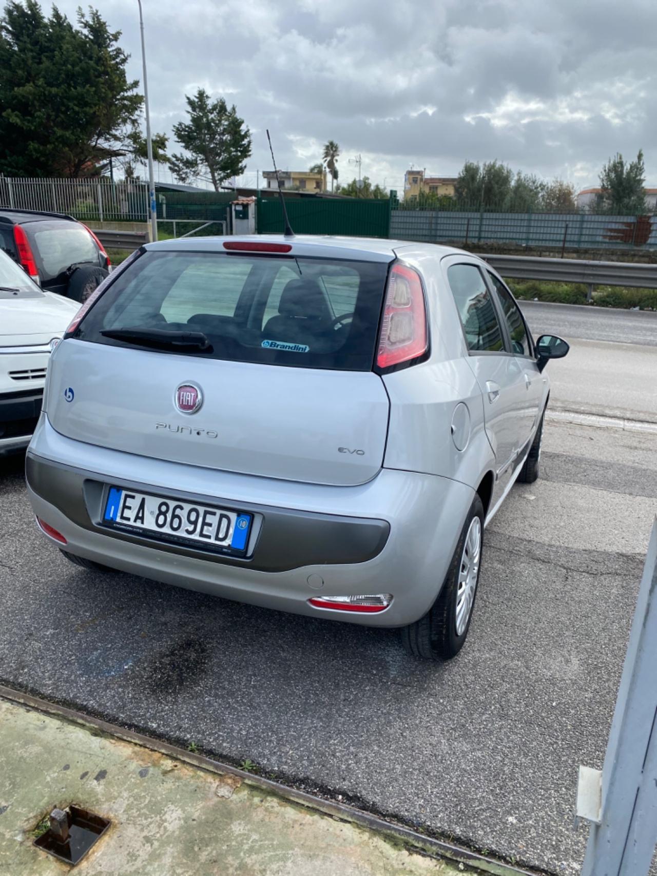 Fiat Punto Evo 1.4 5 porte Active