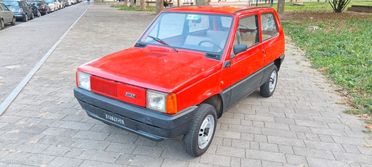 Fiat Panda 30 KM 59000 UNICO PROPRIETARIO