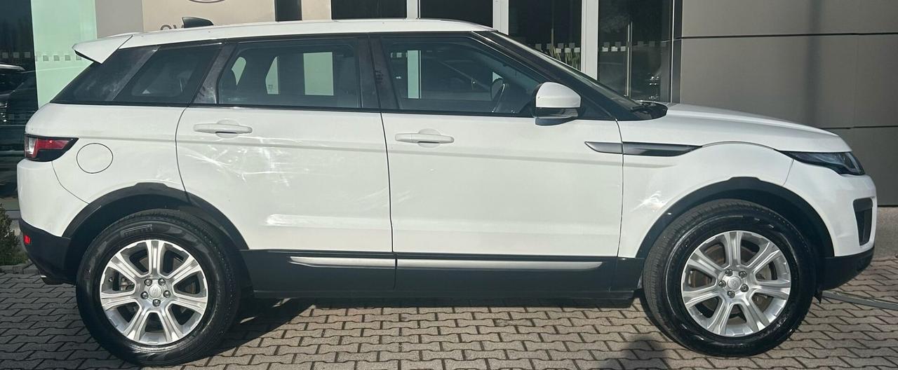 Range Rover Evoque 2.0 TD4 150 CV 5p. Pure