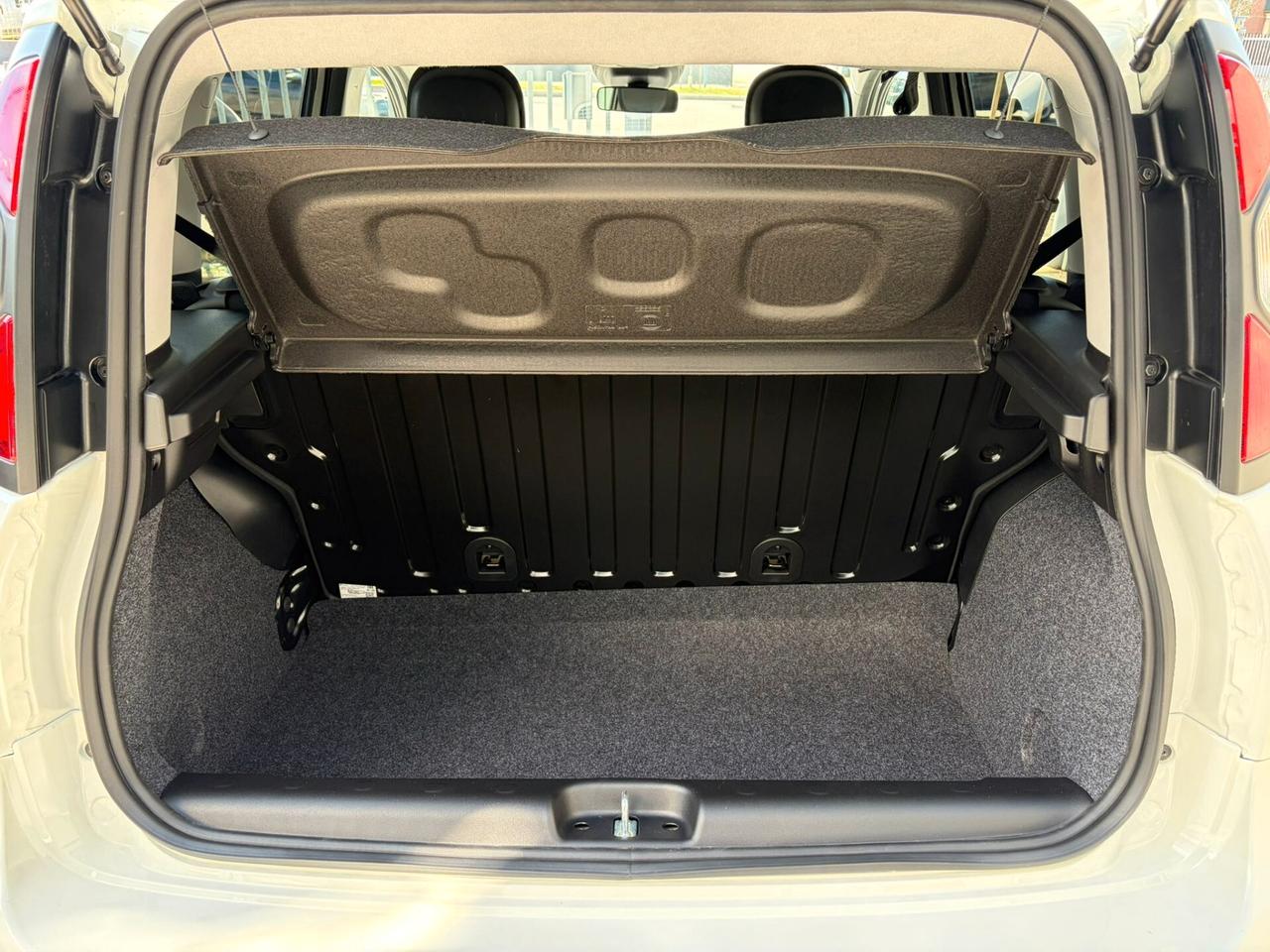 Fiat Panda Cross 1.0 FireFly S&S Hybrid