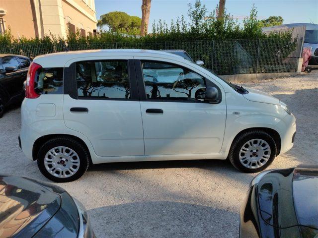 FIAT Panda 1.2 Easy CLIMATIZZATORE OK NEOPATENTATI