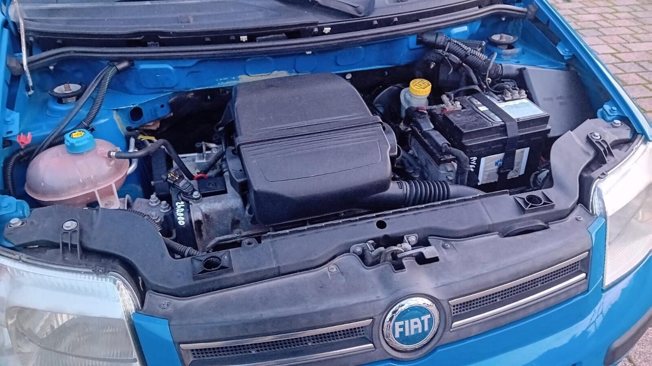 Fiat Panda 1.2 Dynamic GPL c/gancio traino