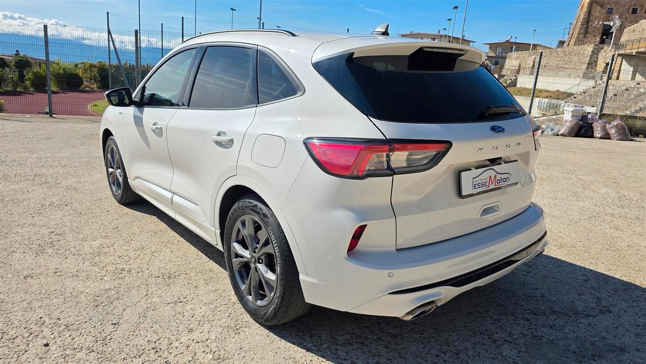Ford Kuga 1.5 EcoBlue 120 CV aut. 2WD ST-Line X