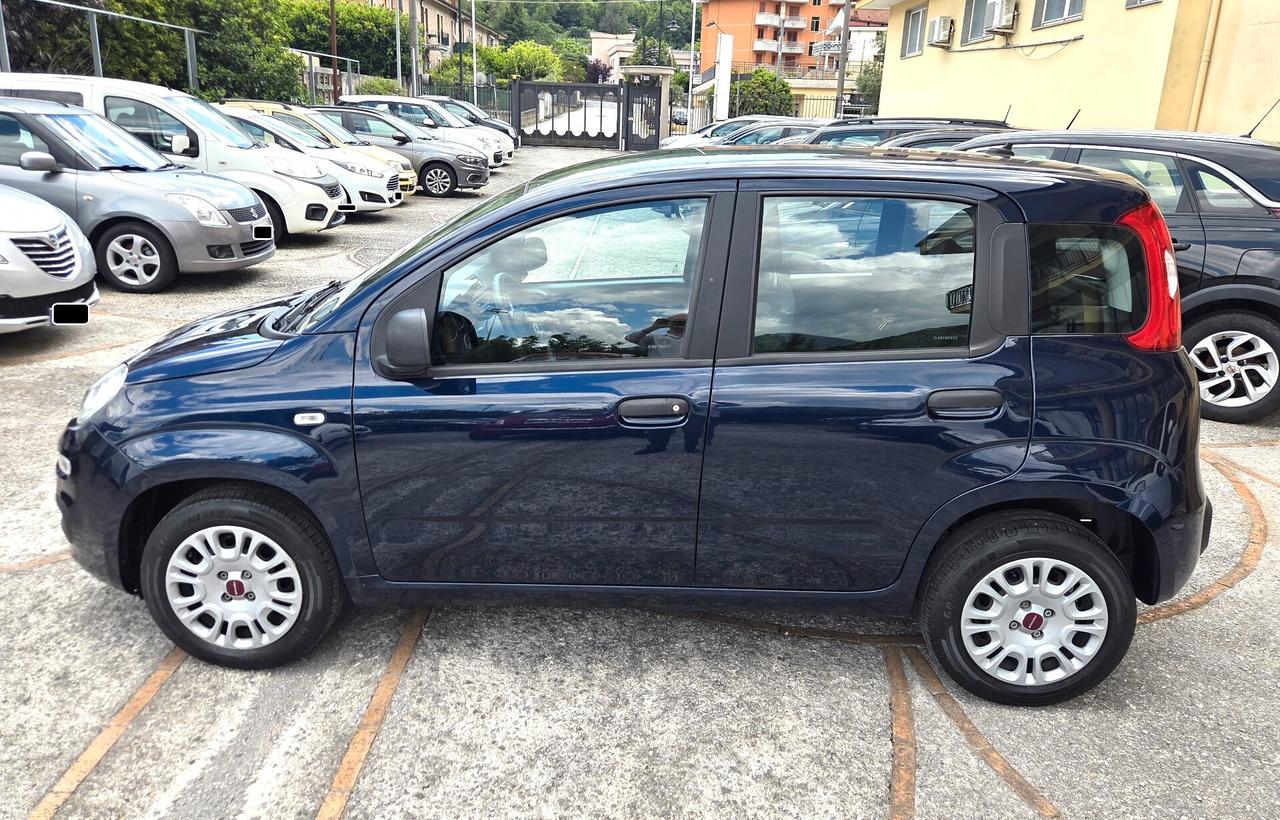 Fiat Panda 1.2 SOLO 34000 KM 5 POSTI GARANZIA