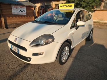 Fiat Punto 5P 1.4 METANO 70CV, OK NEOPATENTATI