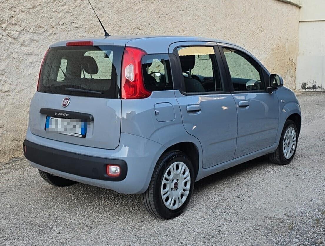 Fiat PANDA Easy 1.2 70CV