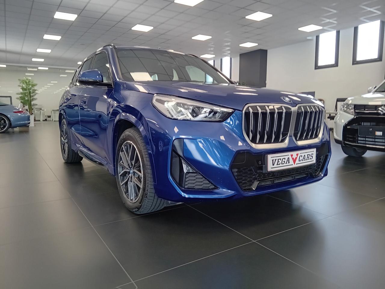 Bmw X1 xDrive 25e Msport
