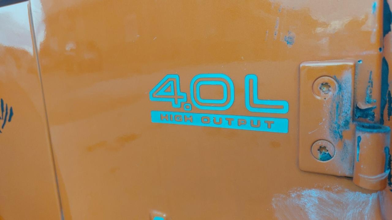 Jeep Wrangler 4.0 cat Hardtop Limited anno 91