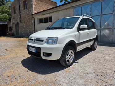 Fiat Panda 1.3 MJT 16V DPF 4x4 Climbing