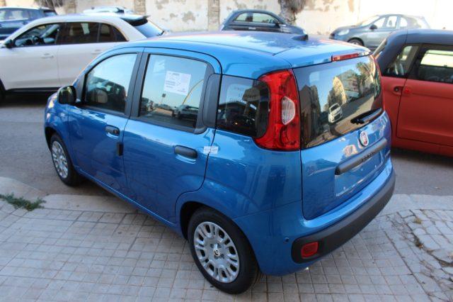 FIAT Panda 1.0 FireFly 65 CV Hybrid Icon-KM0
