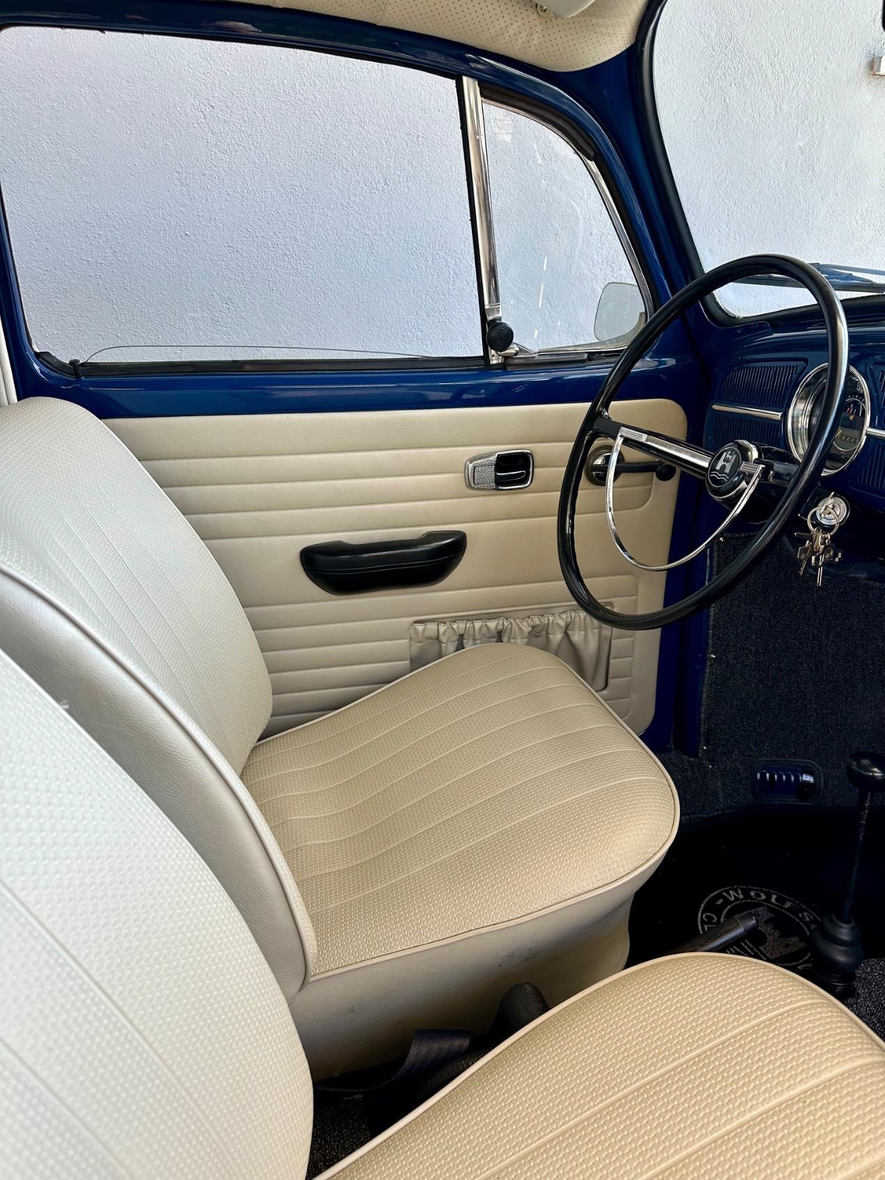 Volkswagen Maggiolino
