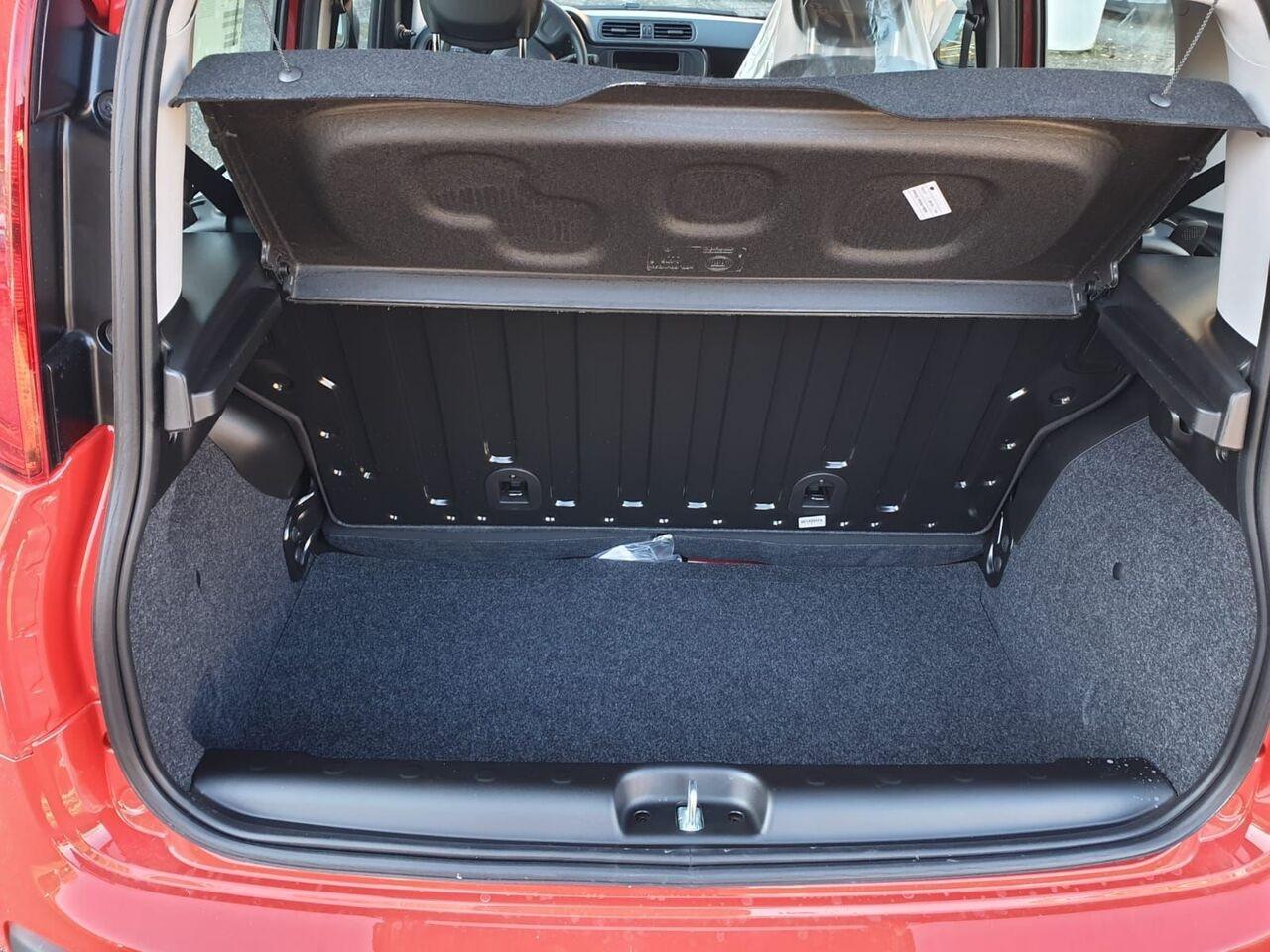 FIAT Panda III 2021 - Panda 1.0 firefly hybrid s&s 70cv