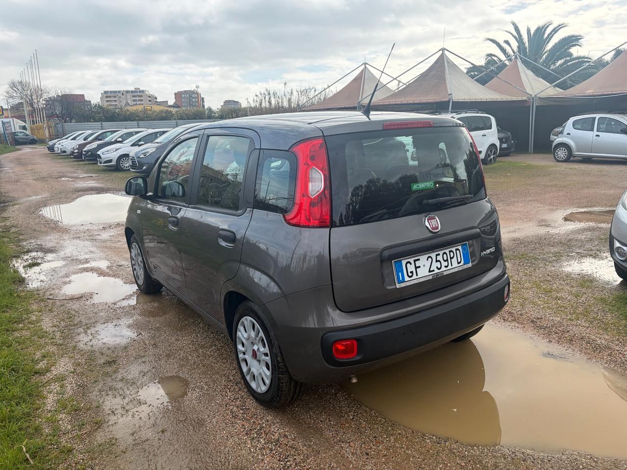 FIAT PANDA 1.0 HYBRID 57.000 KM ANNO 2021 GARANTITA