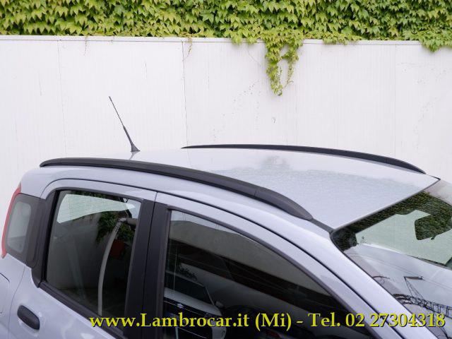 FIAT Panda 1.2 Easy 69cv OK Neopatentati