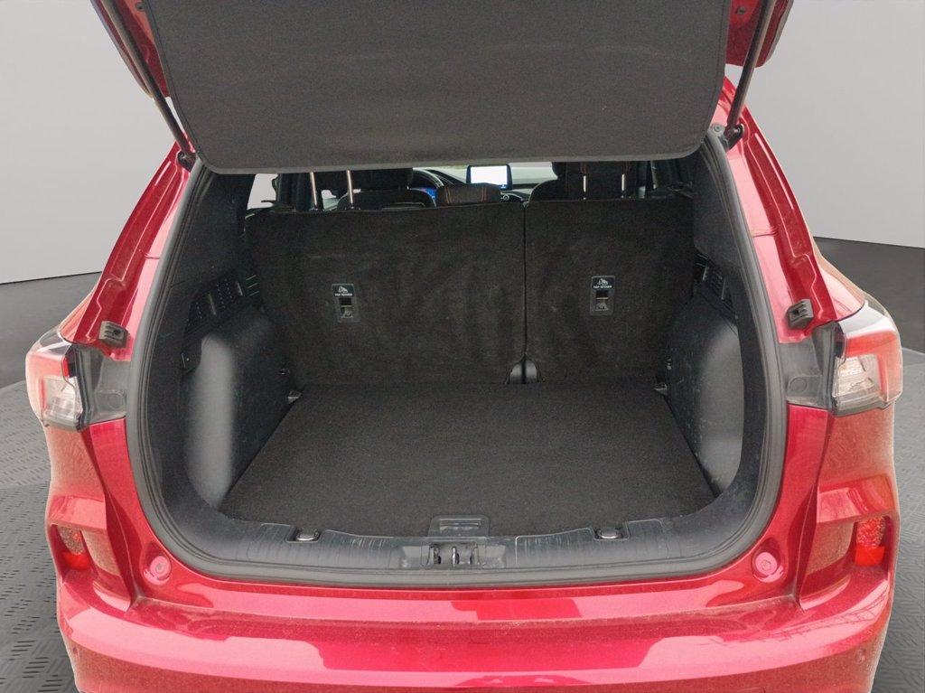 FORD Kuga 1.5 EcoBlue 120 CV 2WD ST-Line del 2022