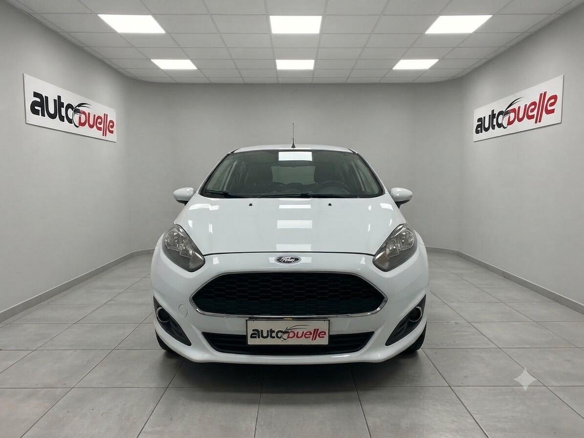 Ford Fiesta 1.4 5 porte Bz.- GPL Black & White Edition