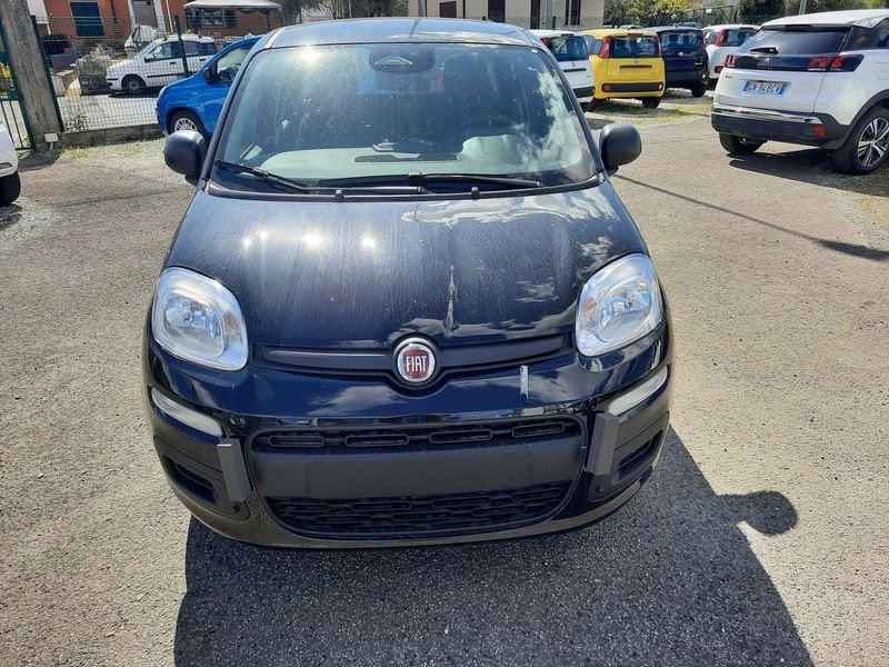 FIAT Pandina 1.0 FireFly 65cv S&S 6m Hybrid Icon