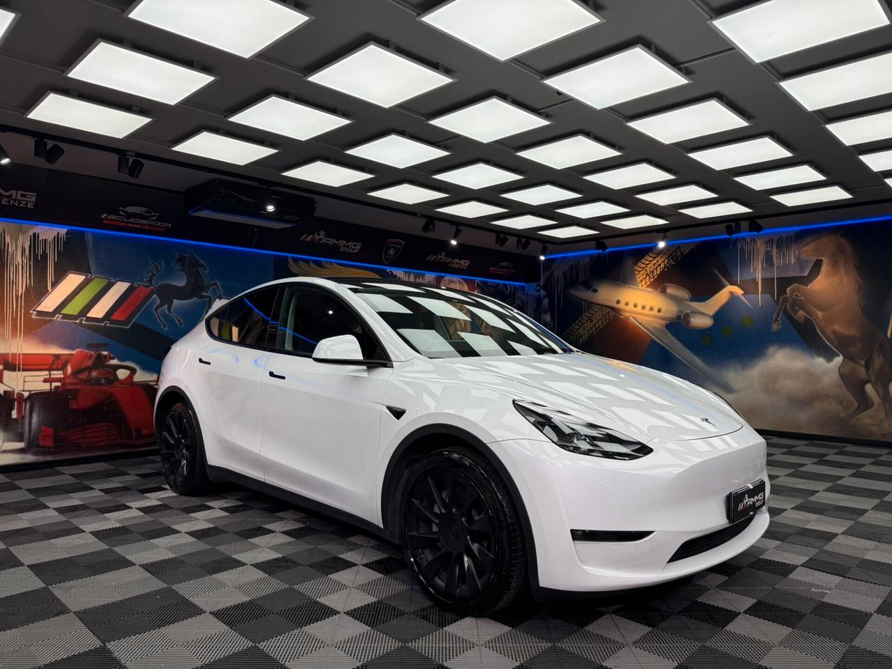 Tesla Model Y Long Range AWD (892)
