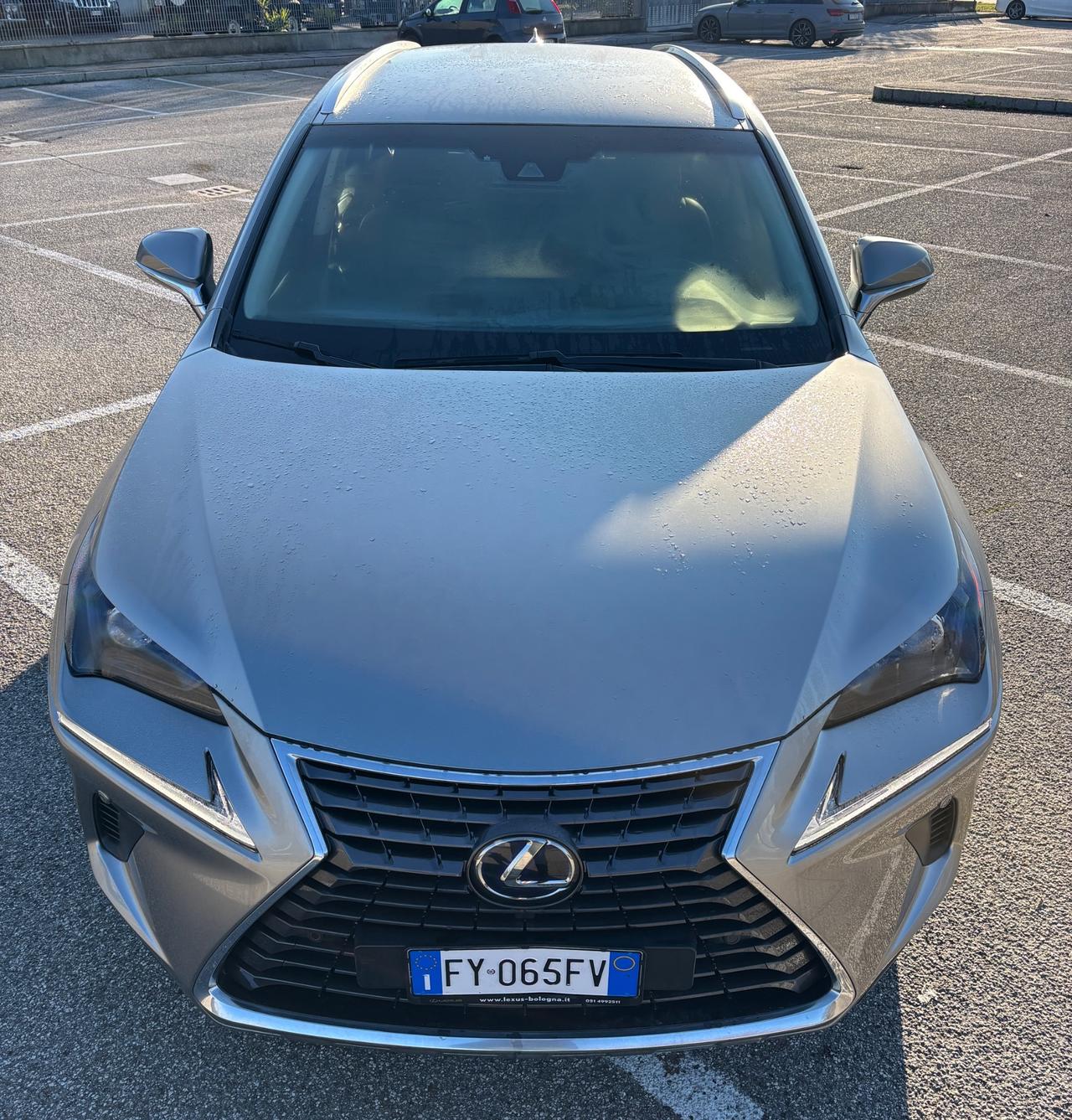 Lexus NX 300h Hybrid 4WD Luxury