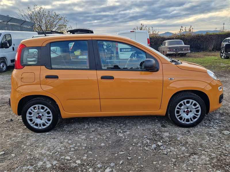 FIAT PANDA 1.2 69cv S/S E6d-Temp Easy 5 PORTE