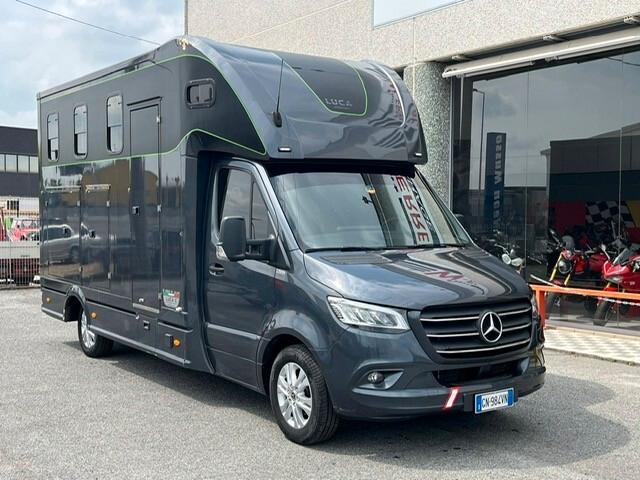 Mercedes-benz Sprinter F43/35 319 CDI RWD TA TRASPORTO CAVALLI 3 POSTI + CUCCIETTA