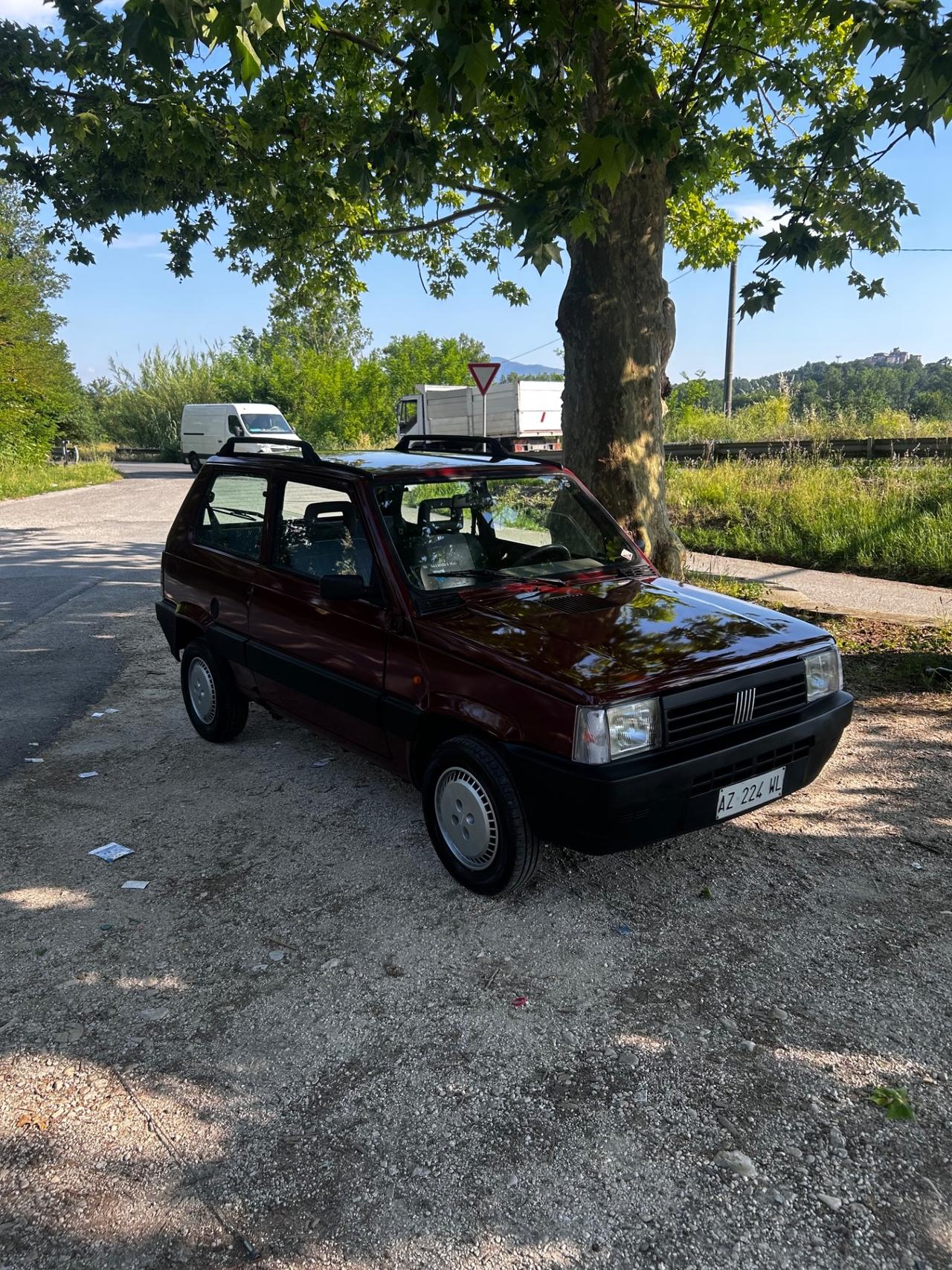 Fiat Panda 1100 i.e. cat Young